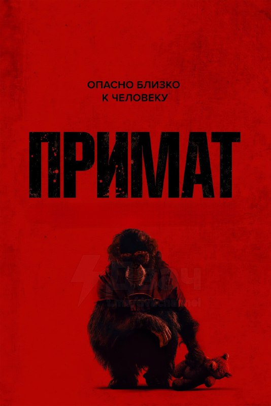 Ловите 10 новых фильмов с высоким рейтингом от зрителей и критиков
🟠«Марти Великолепный» – Тимоти Ш