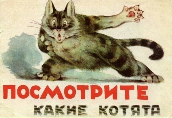 Владимир Матвеев — «Посмотрите какие котята», 1965.