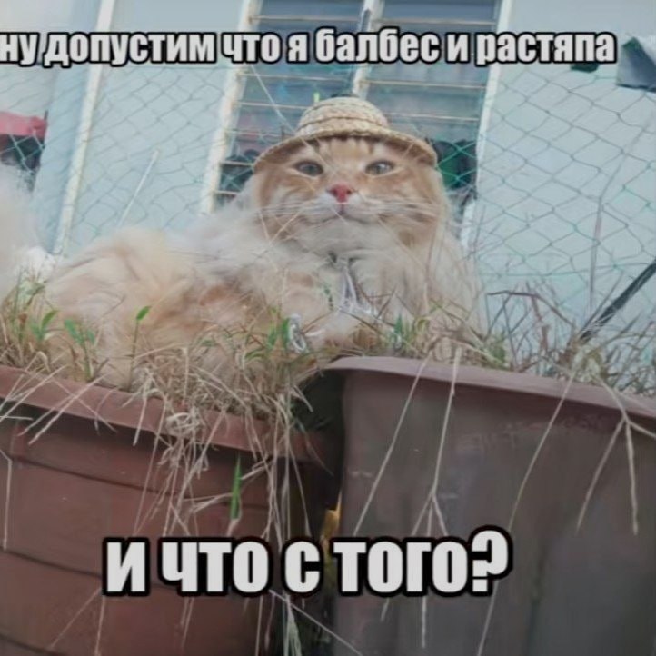 Ночная подборочка
Спать, режим