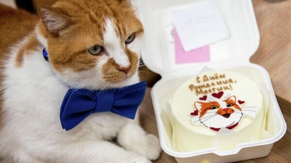 С прошедшим Днем рождения🎉