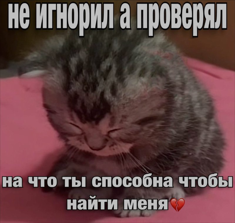 Ночная подборочка
Спать, режим