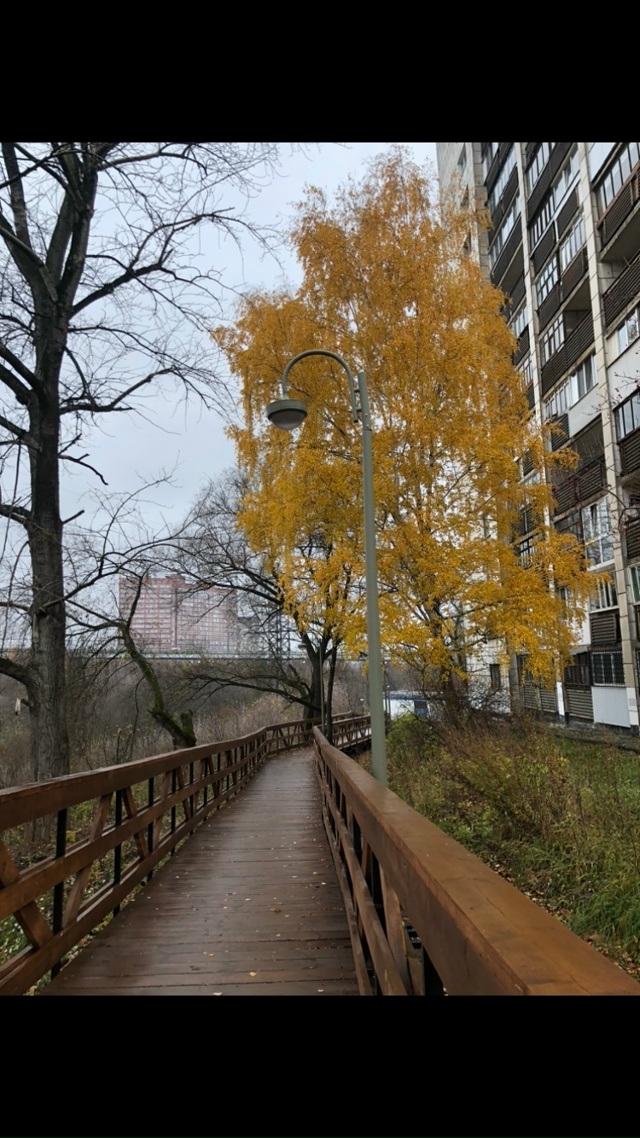 Прогулялись по экотропе между Стаханкой и Крохалевкой...