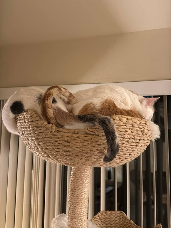 В тесной однушке зото не в кредит