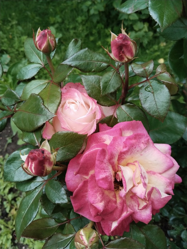 Ну давайте, рассказывайте.....Кому сегодня такие и други...