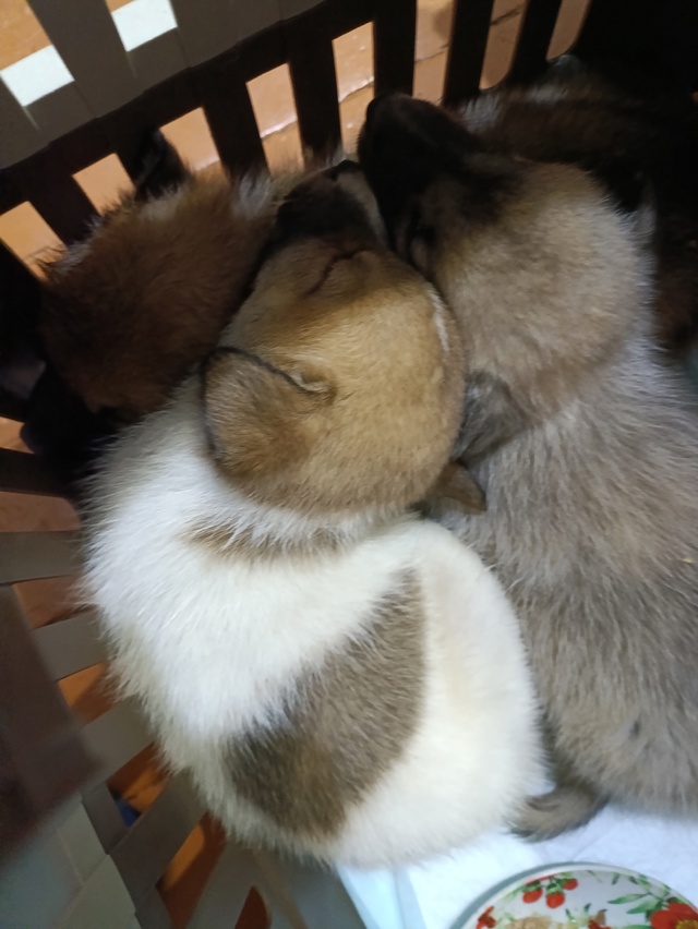 Опубликуйте, пожалуйста 🙏
Подскажите, пожалуйста, кон...