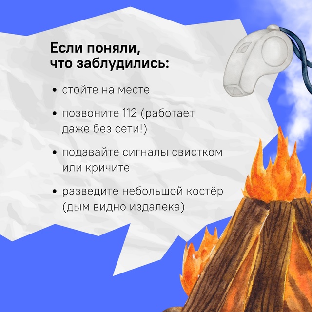 В Костромской области начали пропадать грибники…
Люб...