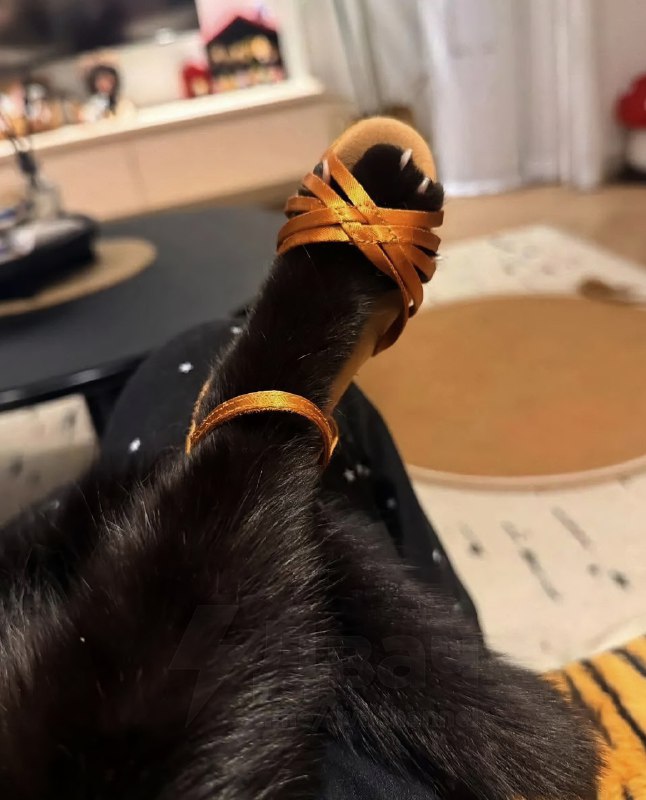 Дамы и господа, вот что значит стиль