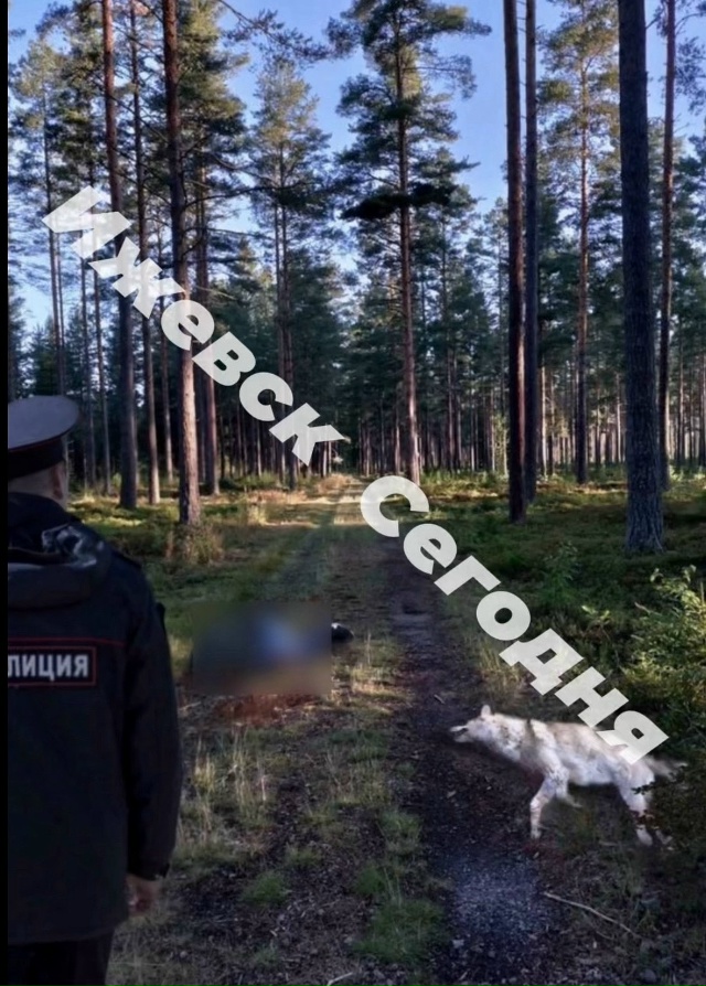 😱Ужасная трагедия разыгралась в Ижевске.
Группа дру?...