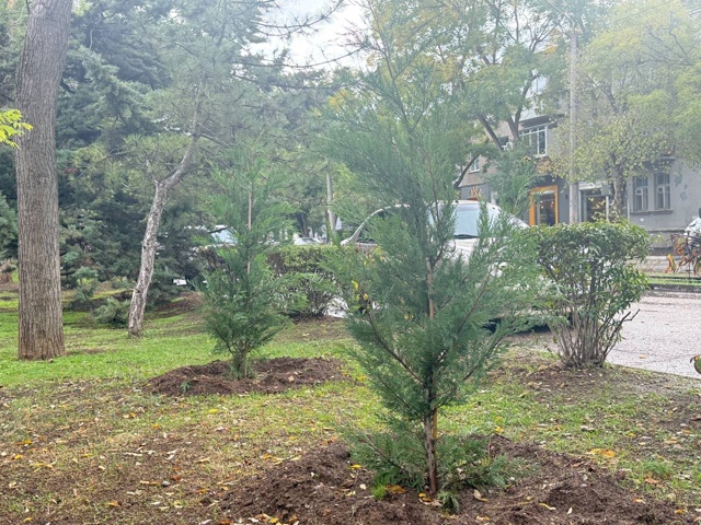 ?Продолжается осенний этап озеленения города.
На дан...