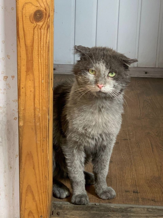 Брат, ну ты чего? Не унывай. Все у тебя еще впереди, нача?...