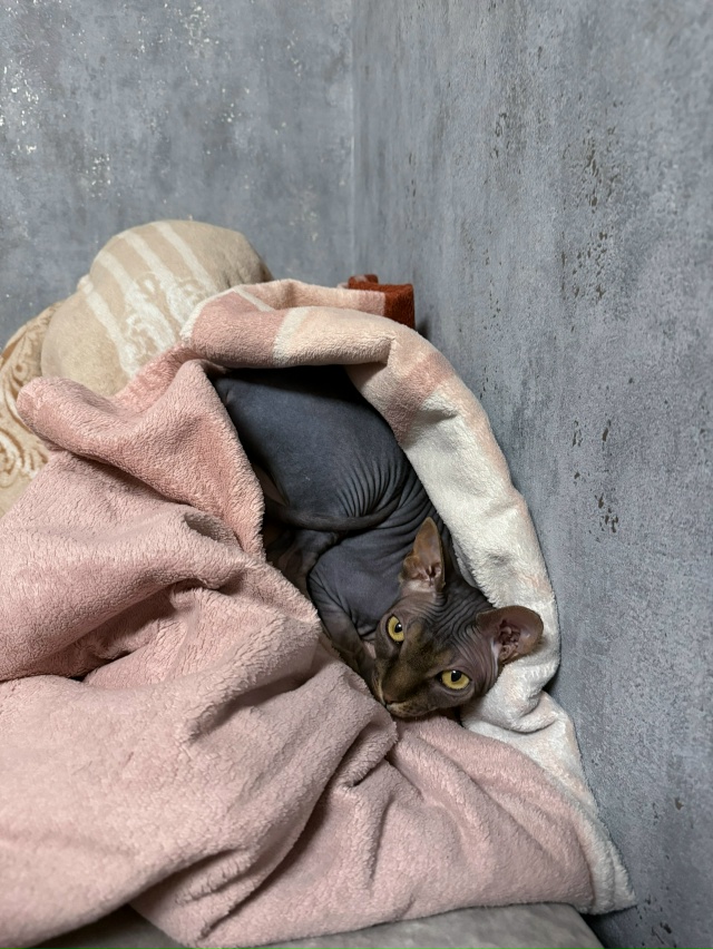 Любимая лабуба Мия