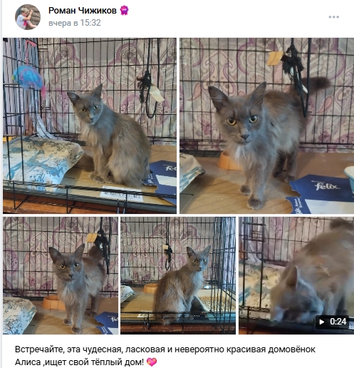 Пост добра. Распространите, пожалуйста.
