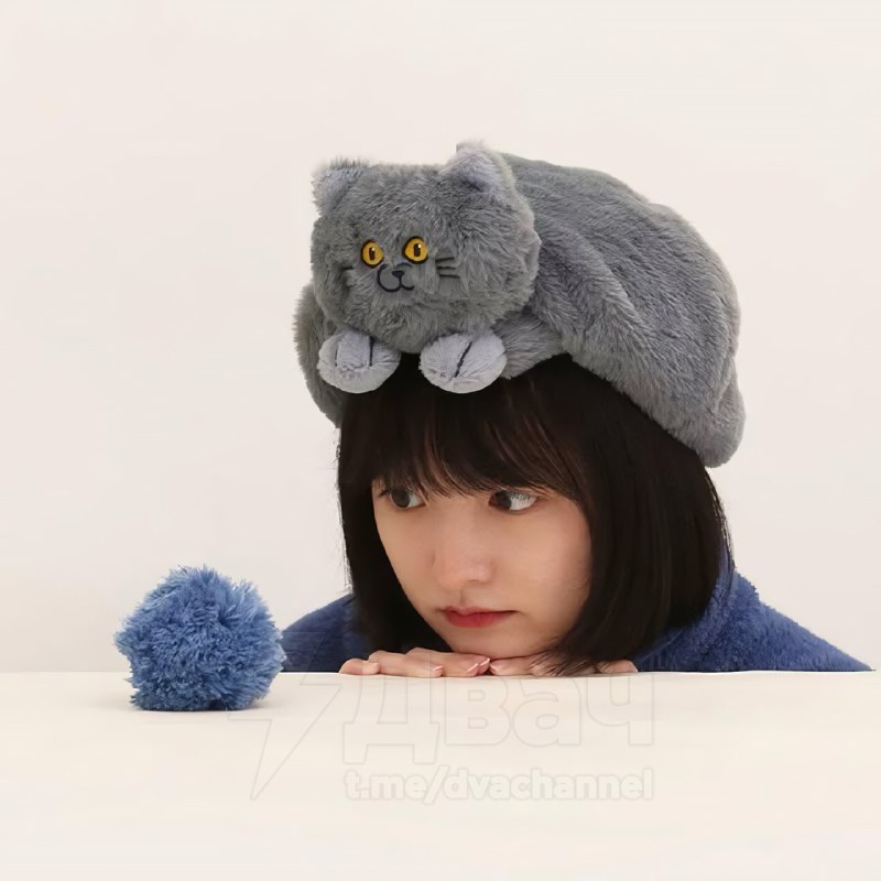 На российские маркетплейсы завезли милейшие шапки в форме котов
Цена — 2000 рублей.
Shut up and ta