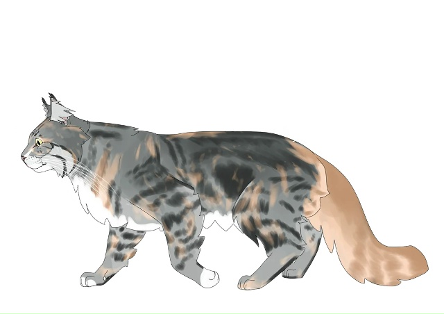 Летунья, Тучезвезд, Яролика, Ледошерстка, Медуница, Куд...