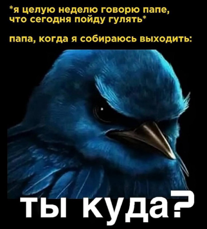 а сколько тебе лет?