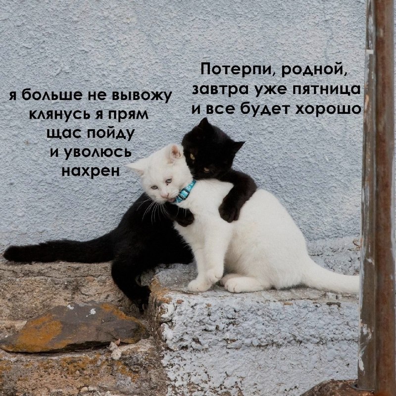 Ночная подборочка
Спать, режим