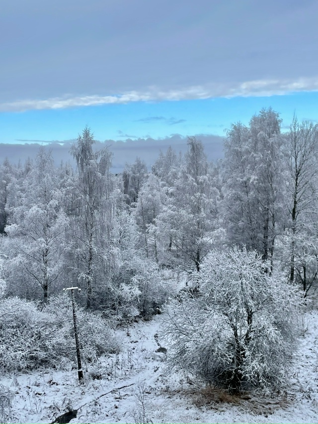 С добрым утром Сафоново 🫶🏼