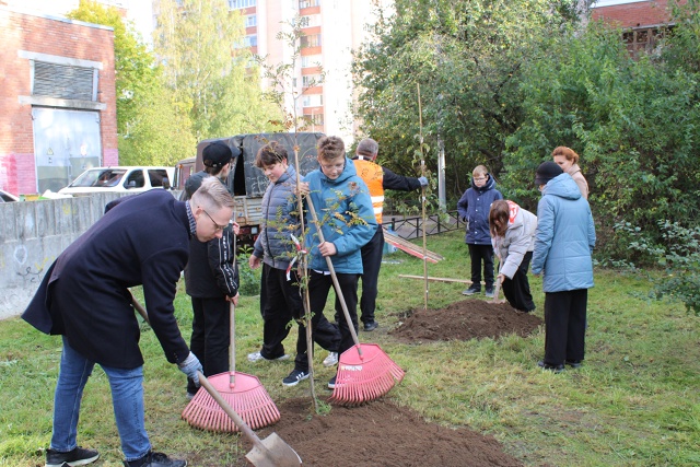 В Петергофе по заказу муниципалитета завершились комп...