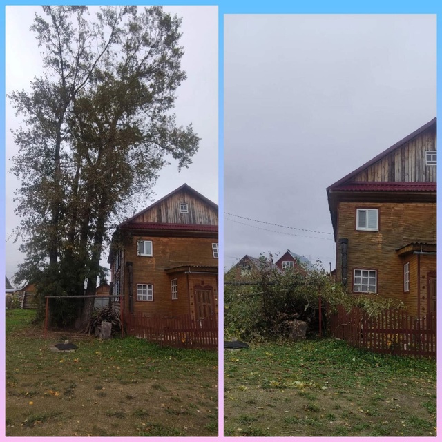 СПИЛИМ ЛЮБОЕ ДЕРЕВО (рядом с домами, проводами, заборам...