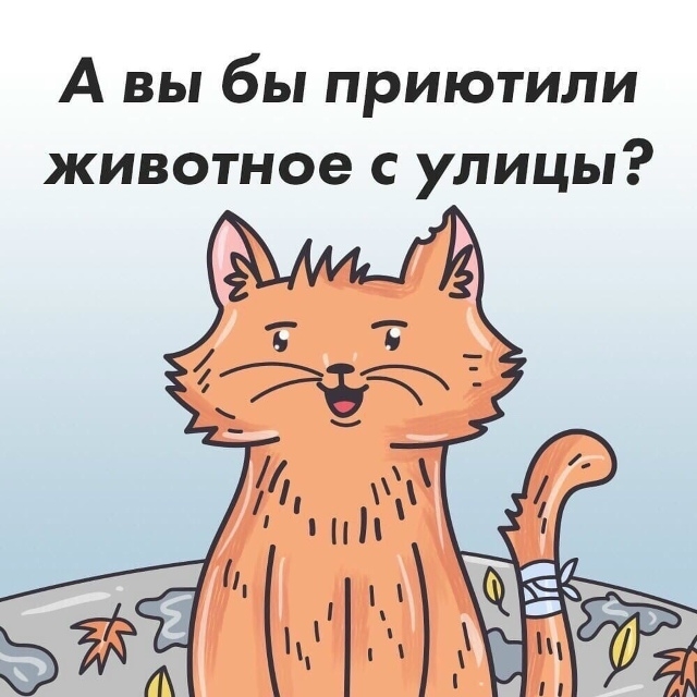 Ставь лайк, если бы приютил!