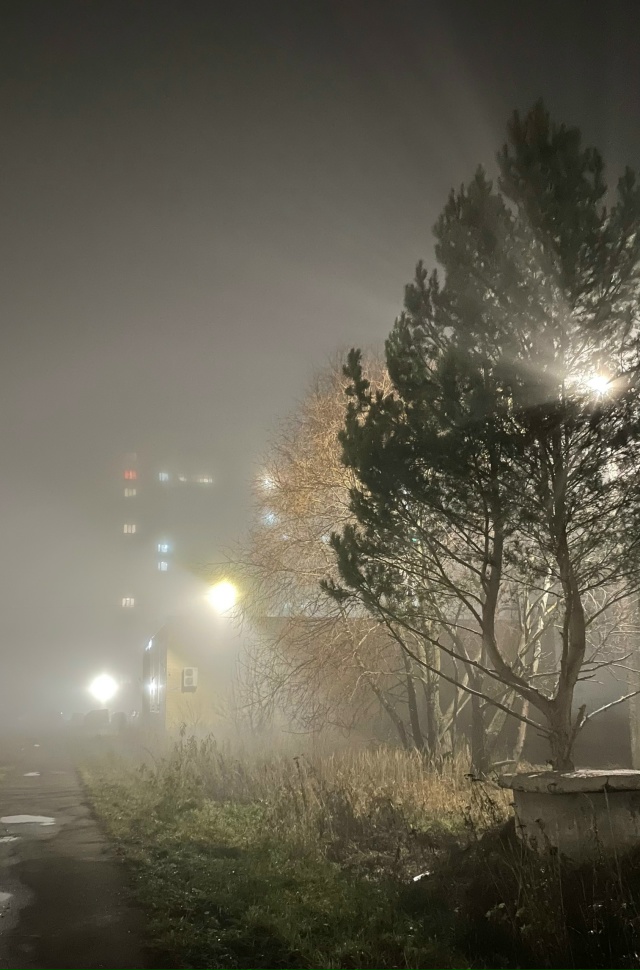 Всем спокойной ночи 😴🌙