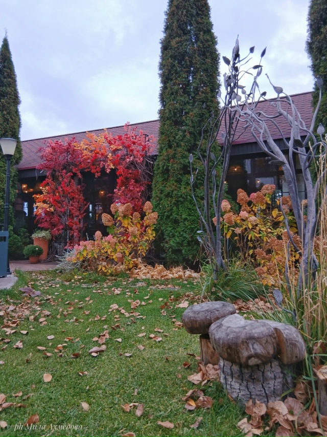 Осенний, атмосфено красивый парк перед отелем в Толья?...