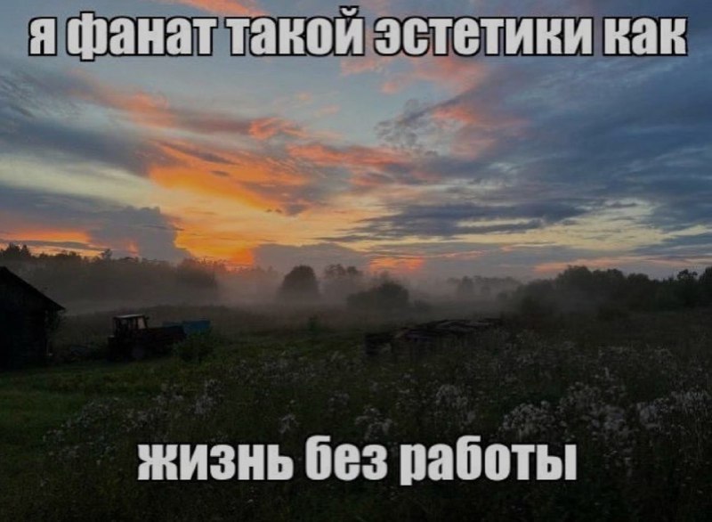 Ночная подборочка
Спать, режим