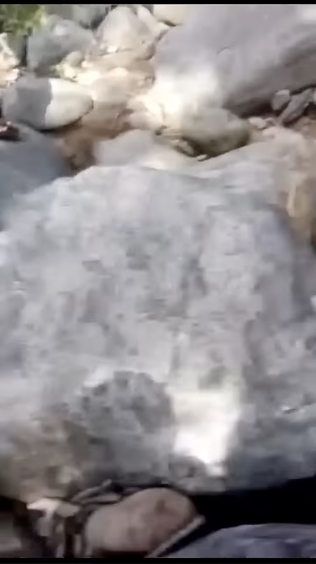Такого я еще не видел