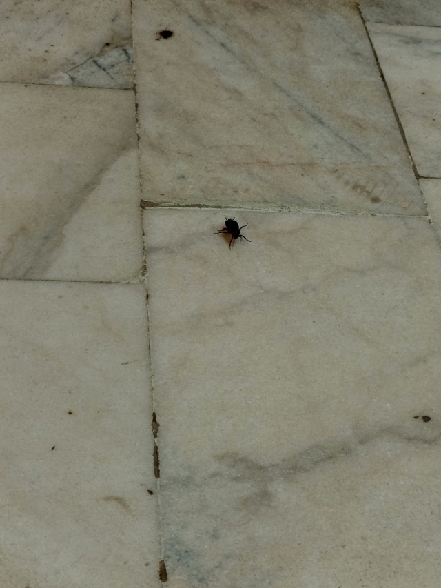 Поликлиника №4
Взрослое отделение, надеюсь мое прибыв...