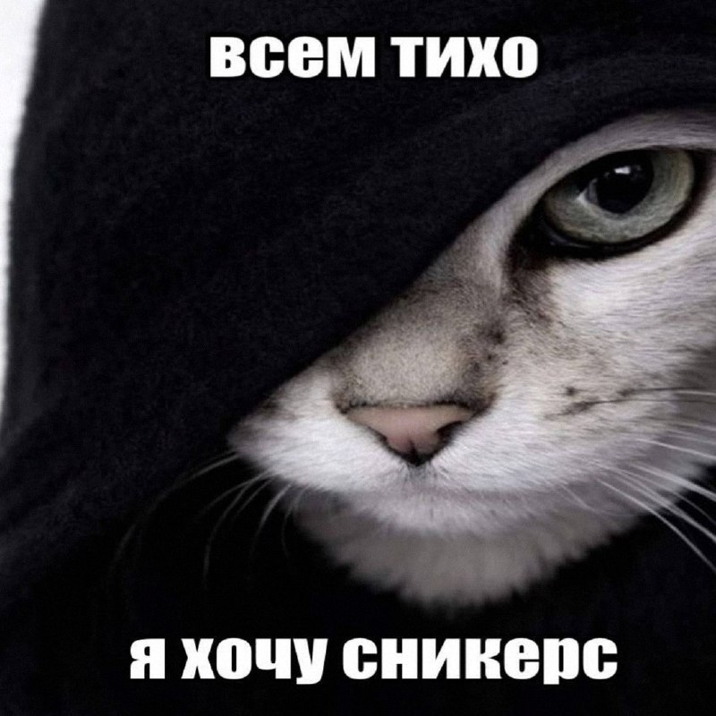 Утренняя подборочка