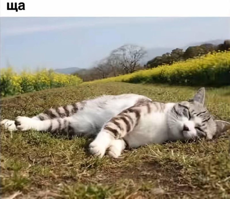 Утренняя подборочка