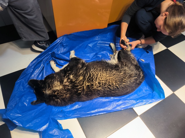 Друзья, нужна помощь! 😪
Сегодня звонит папа 