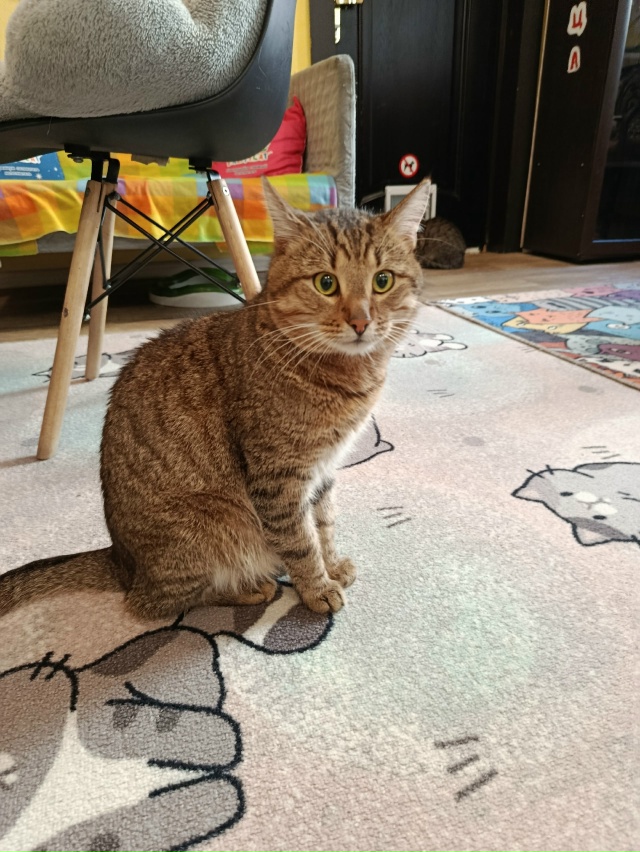 Не буду говорить, где, чтобы не было рекламы, я сегодня ?...