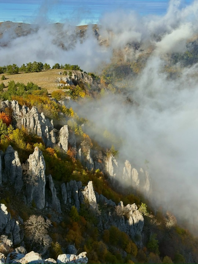 Перья Хапхала 🇷🇺