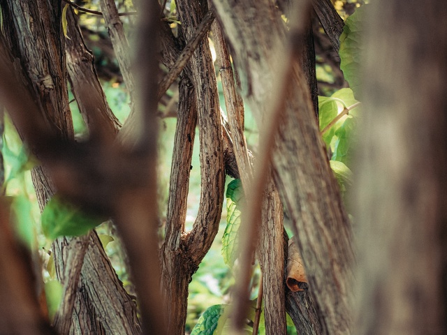 Продолжаем наблюдать нашу Воскресенское золотую осен?...