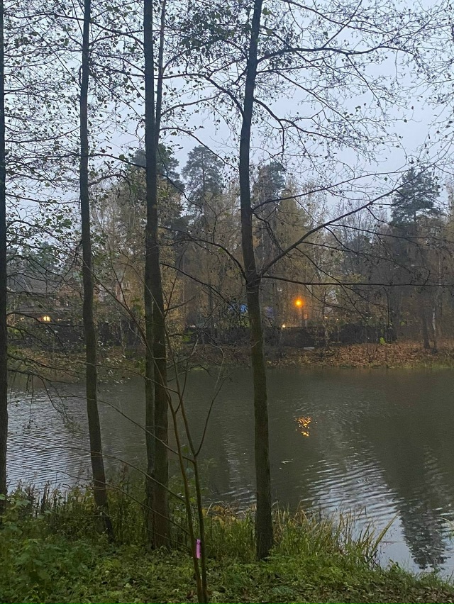 КРАСИВАЯ ОСЕНЬ В БАЛАШИХЕ! ♥♥