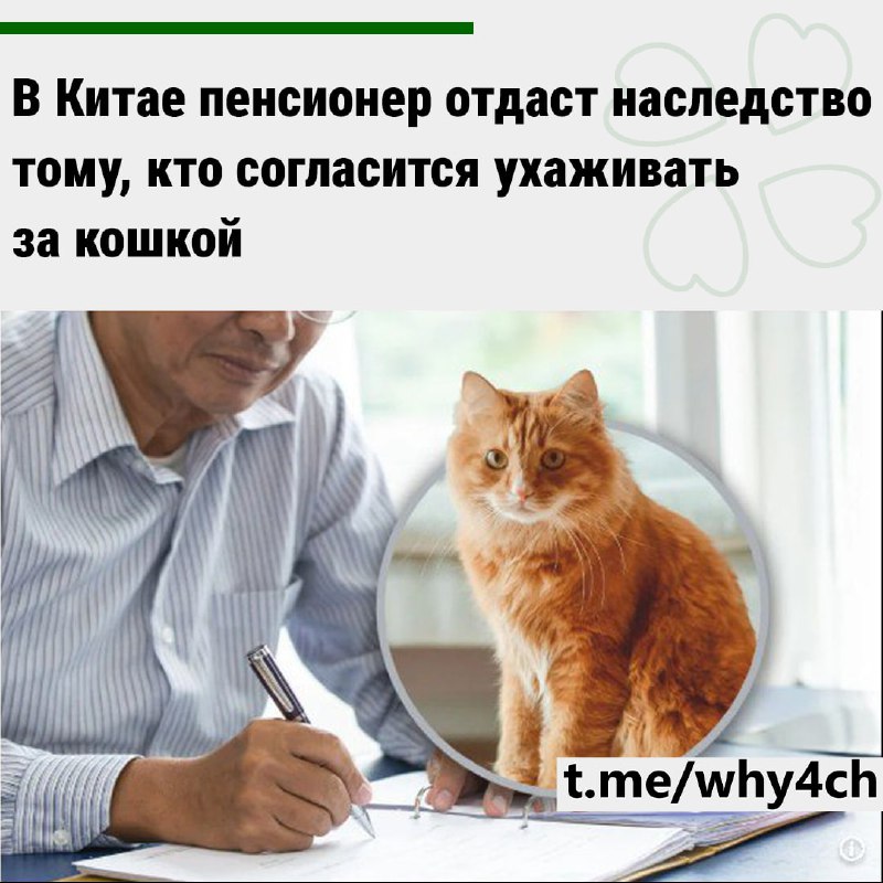 Мужчина живет один уже десять лет - cтав вдовцом, он таки и не женился, а детей у пары не было. Окол