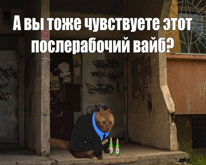 Утренняя подборочка