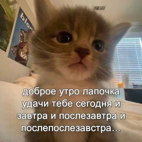 Утренняя подборочка