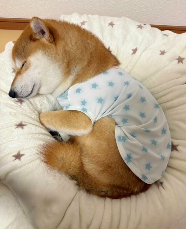 Вырос с котиками😃