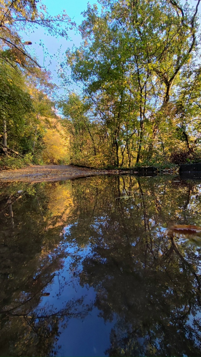 Как же это красиво! 😍
Настоящая золотая осень в Ялте ???...