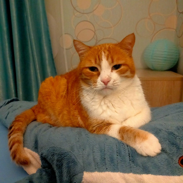 #егобезейшество деловой, но уставший