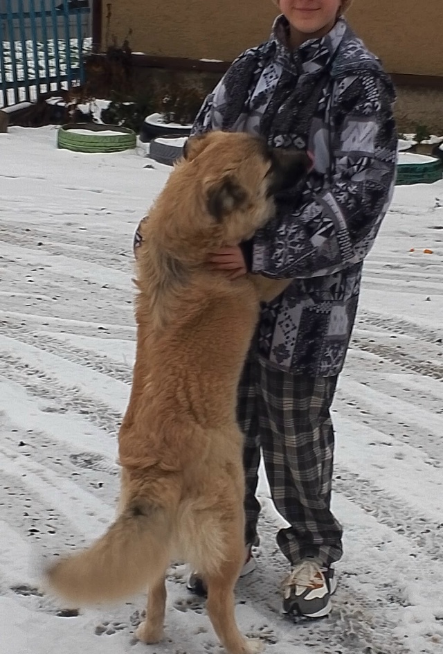 Здравствуйте, помогите пожалуйста найти собаку, убежа?...