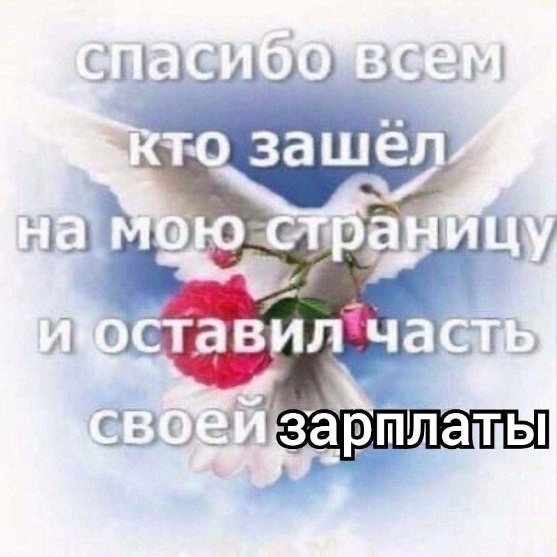 Утренняя подборочка