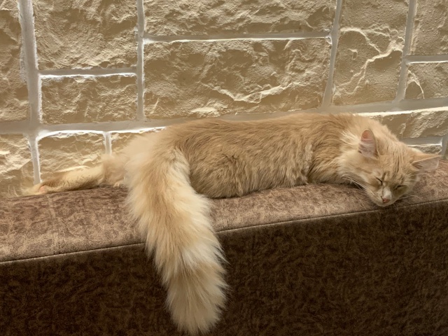 Моменты
Взросления Томасика