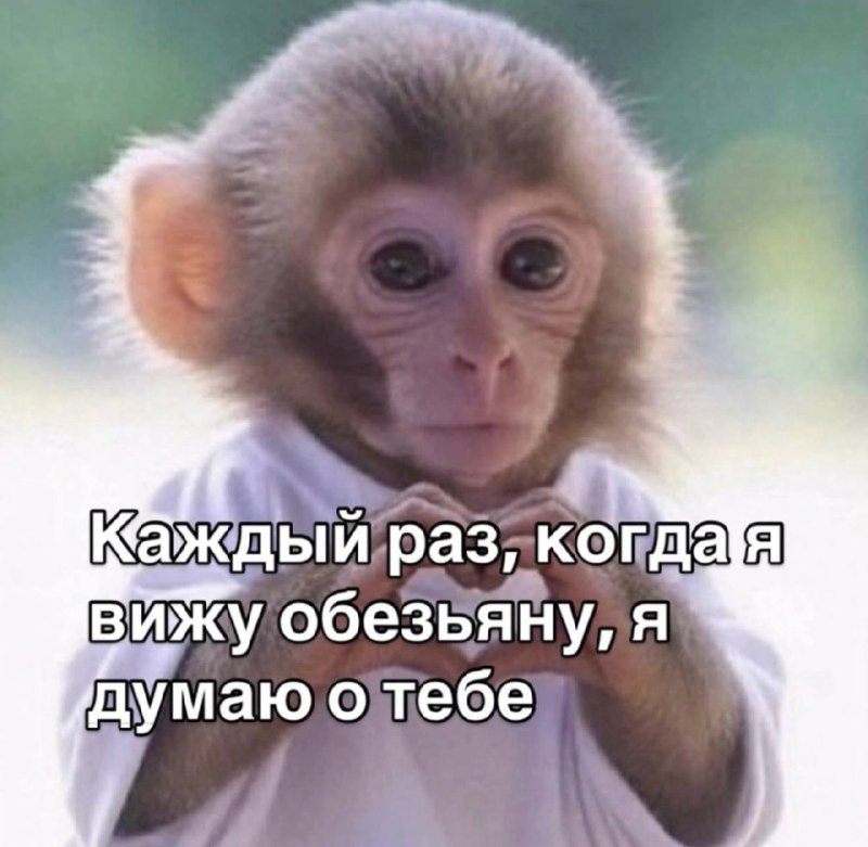 Перешли 😄