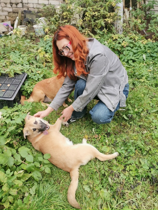 В поиске дома две очаровательные красотки-Дина и Джерр...