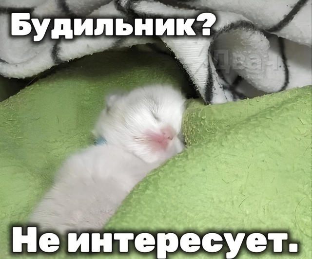 Сегодня можно никуда не спешить