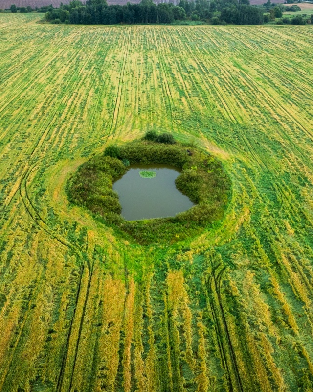 Стрелу никто не терял? ?
Найдено жилище той самой цар...