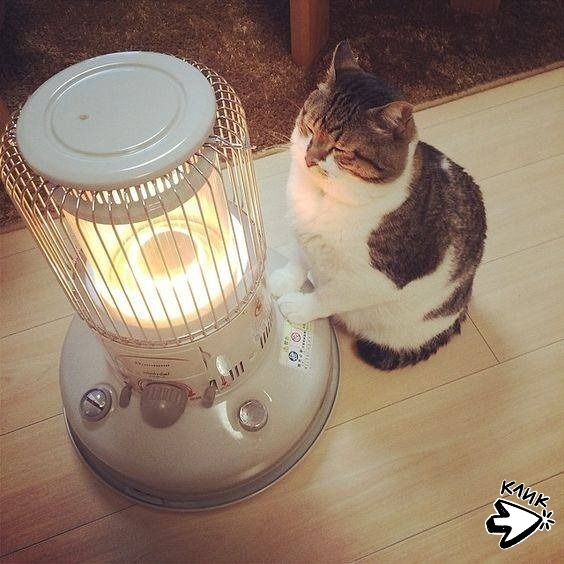 С ноября по март ищите меня здесь?
Листайте =>